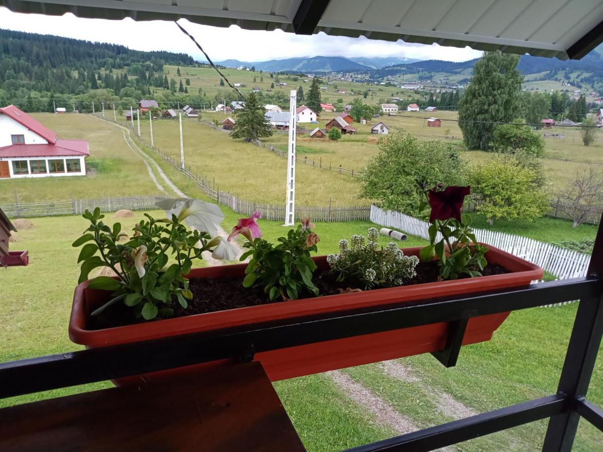 Casa Bucovina Dorna Candrenilor Ascutitele Exterior foto
